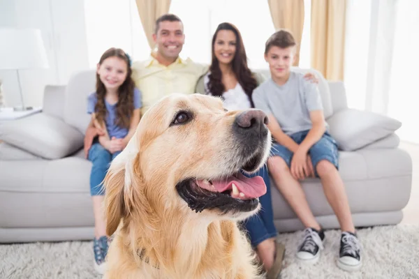 Famille heureuse avec chien et chat
